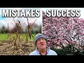 Five Magnolia Mistakes Beginners Always Make