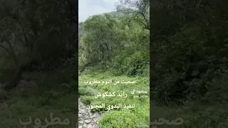 صحيت من النوم مطروب هجيني كلمات ابو رزين العقيلي اداء رايد كشكوش 