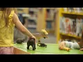 Cromaine Library Rural Insights for Philanthropy
