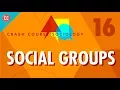 Social Groups Crash Course Sociology