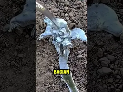MENGEJUTKAN MENEMUKAN PERANGKAP ULAR❗️