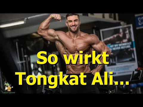 Download MP3 Tongkat Ali - Starke Wirkung nicht nur beim Muskelaufbau