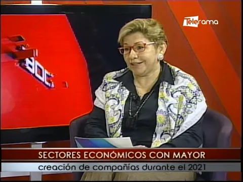 Sectores económicos con mayor creación de compañías durante el 2021