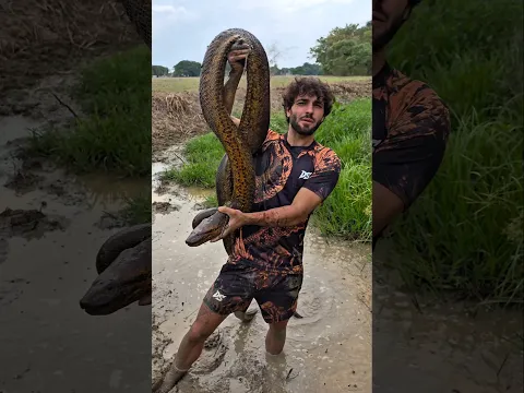 Querian Comer esa Anaconda !? 🩸🐍