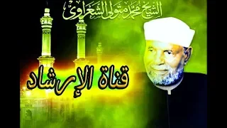 أبطال وبطولات غزوة الأحزاب للشيخ الشعراوى 