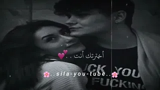 من بين كل البنات اخترتك انت حالات واتس اب حب   اغاني رومنسية   مقاطع قصيرة حب دندنها