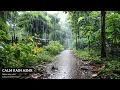 Download Lagu Tropical Forest Trail During Steady Rainfall With Dense Vegetation - Tranquil Nature ASMR