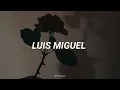 Luis Miguel - No Discutamos (Letra)