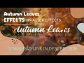 Mesmerizing Autumn Leaves Loops in After Effects Tutorial