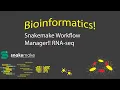 Bioinformatics - Snakemake Workflow Management Timestamps