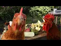 I built a buffet table for my chickens - look how happy they are