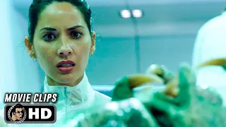 THE PREDATOR Best Clips 2018 