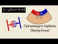 Fluid Exchange in Capillaries Starling Forces Capillary Filtration General Physiology