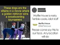 Funny Posts For When You Seriously Need A Mental Break Humor Sweet