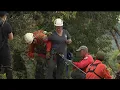 Family continues searching as found human remains not linked to missing Oceanside mom NBC 7
