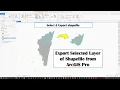 Export Selected Layer of Shapefile from ArcGIS Pro