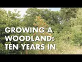 Growing A Woodland Ten Years In