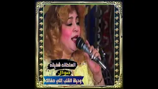 السلطانه   شفيق ه   موال  وحياة القلب إللي صفالك        دندنها