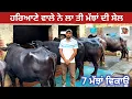 Download Lagu ਹਰਿਆਣੇ ਵਾਲੇ ਨੇ ਲਾ ਤੀ ਮੱਝਾਂ ਦੀ ਸੇਲ #apnakitta #mangabhadaur #farming #dairyfarm #panjab 2025