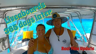 1 Year of Being a Liveaboard | Realtime Update – Sailing Honu Time