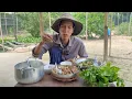 Download Lagu NẮNG CHÁY CUỘC ĐỜI ẾCH KHO ME CHẤM RAU XANH DƯA XÀO BA RỌI