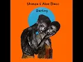Darling - Shimza & Aloe Blacc