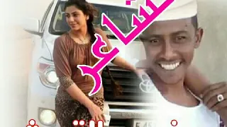 الشاعر حمزة ودالقريش 