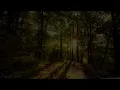Planta e Raiz - Encontre a Liberdade