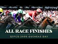 Download Lagu All race finishes from QIPCO 2000 Guineas Day at Newmarket Racecourse