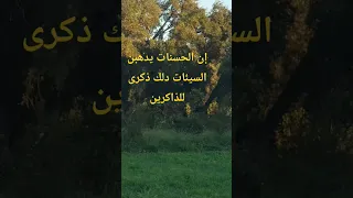 إن الحسنات يدهبن السيئات دلك دكرى للداكرين  إن الحسنات يدهبن السيئات دلك دكرى للداكرين