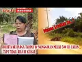 Download Lagu Derita Tarima br Nainggolan pemilik Lahan sawit 500 Ha yang tidak bisa menguasai lahannya