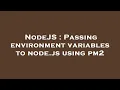 NodeJS Passing environment variables to node js using pm2