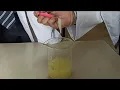 DNA Extraction From Banana