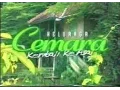 Download Lagu Keluarga Cemara Kembali ke Asal Part 2