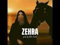 Download Lagu Zehra Instrumental