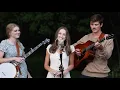 Download Lagu Sherwood - The Petersens (LIVE) - A Katie Original