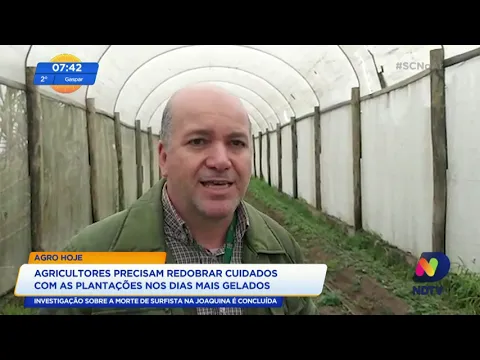 Agricultores precisam redobrar cuidados com as plantações nos dias mais gelados