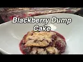 Blackberry Dump Cake Recipe Twisted Mikes
