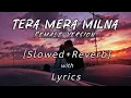 Download Lagu Tera Mera Milna Female Version [Slowed+Reverb] + Lyrics || Vidushi Yadav || Js Musical World