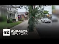 New Jersey officer disguised as shrub to catch distracted drivers