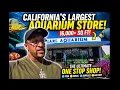 I Visited California s LARGEST Aquarium Store 16 000 SQ FT of Fish Paradise