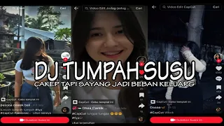 Download DJ CAKEP TAPI SAYANG JADI BEBAN KELUARGA KENDANG [TUMPAH SUSU] YANG LAGI VIRAL TIKTOK MP3