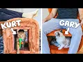 Testing Furniture that has Secret Cat Hideouts