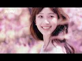 短发 - 大头针 | Duan Fa - Da Tou Zhen「哭到喉咙沙哑还得拼命装傻，我故意视而不见你外套上有她的发。」♪【動態歌詞MV】♪