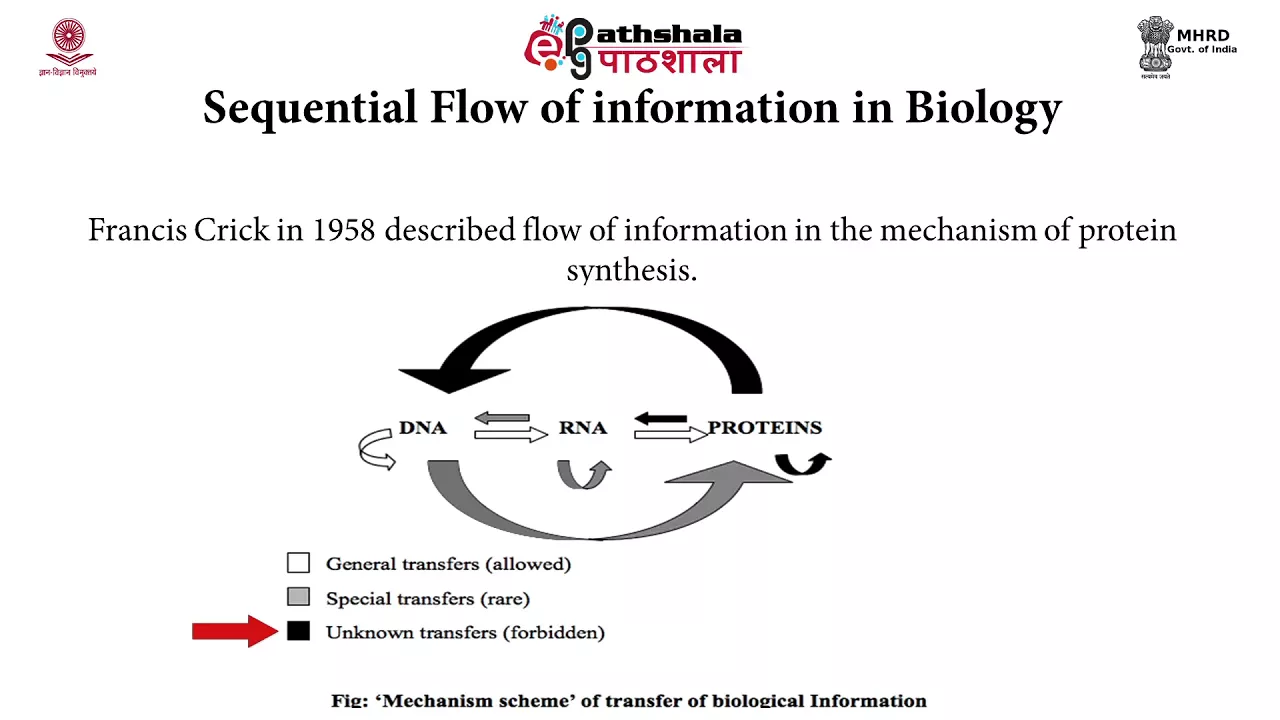 Structural organization of genome: Bioinformatics