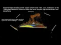 Falling Sand Simulation Development Log 2 - The Return
