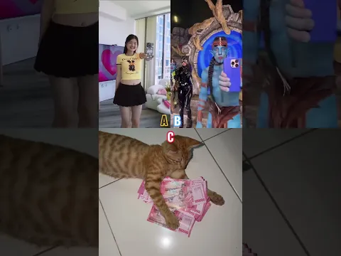 Who is the best? @kikakimm @ApolloSant #cute #funny #treanding