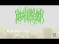 Blood Incantation – The Stargate [Tablet I] (Live in Paris 2025 | 4K UHD)