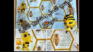 مجتمع النحل فكرة عن مشروع سنوات الثانية متوسط 