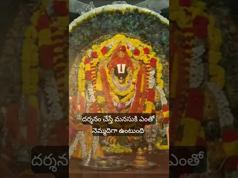 గోదావరి తీరాన కొబ్బరి తోటల మధ్య కొలువై ఉన్న అప్పన్నపల్లి బాల బాలాజీ స్వామి వైభవం#viral #viralvideo